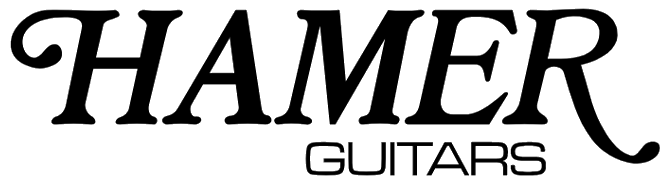 Hamer logo