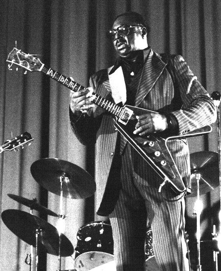 Albert King photo