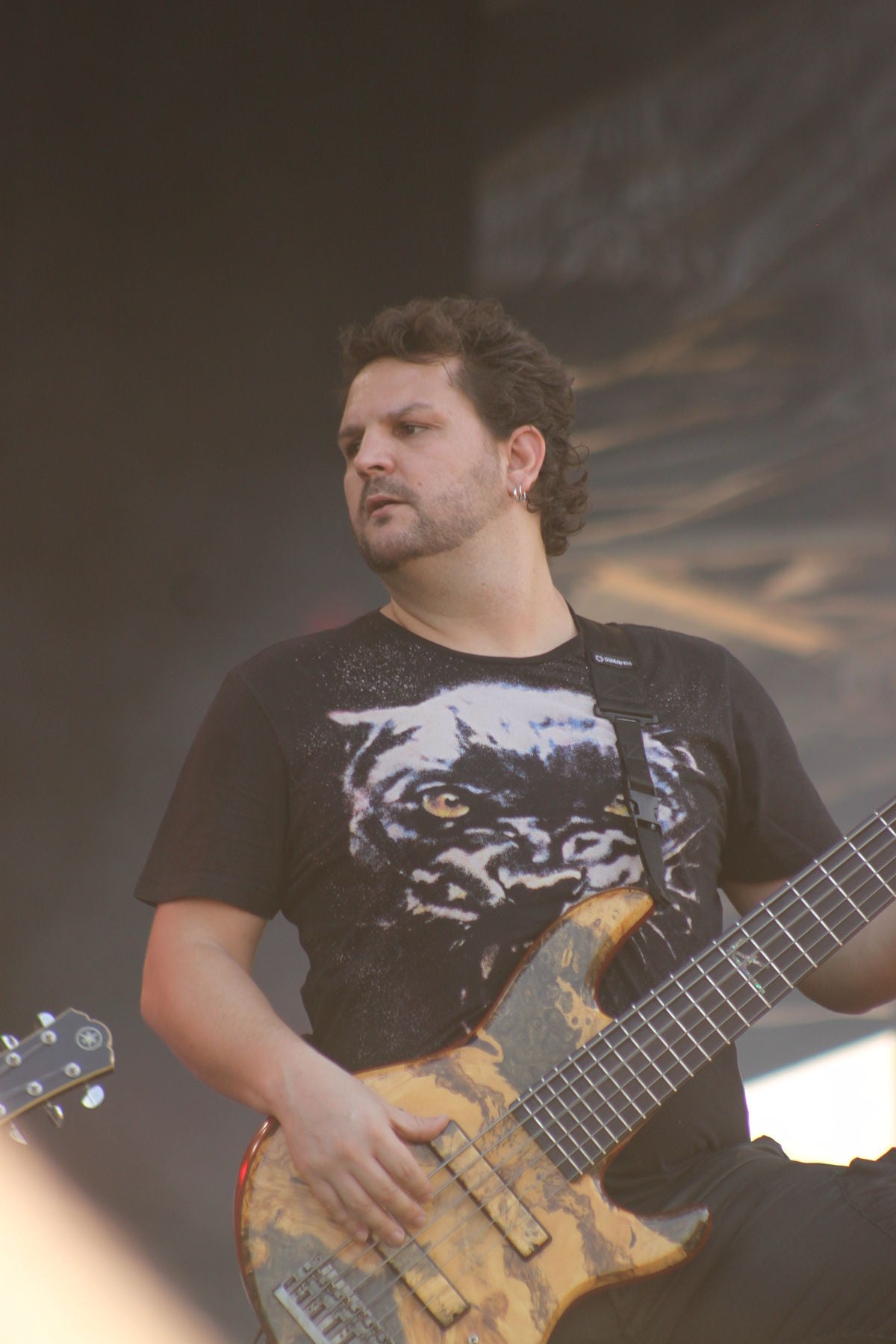 Felipe Andreoli photo