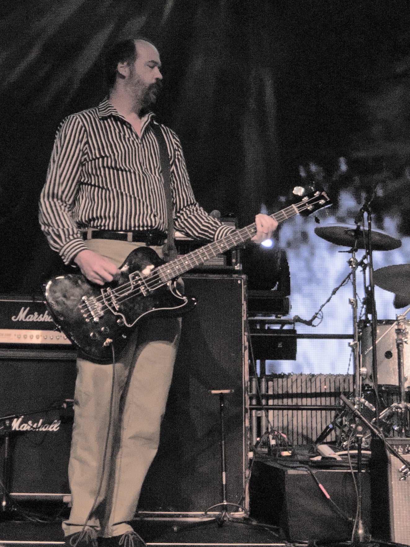 Krist Novoselic photo