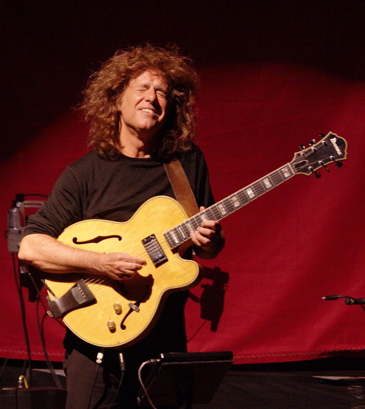 Patrick Bruce Metheny photo