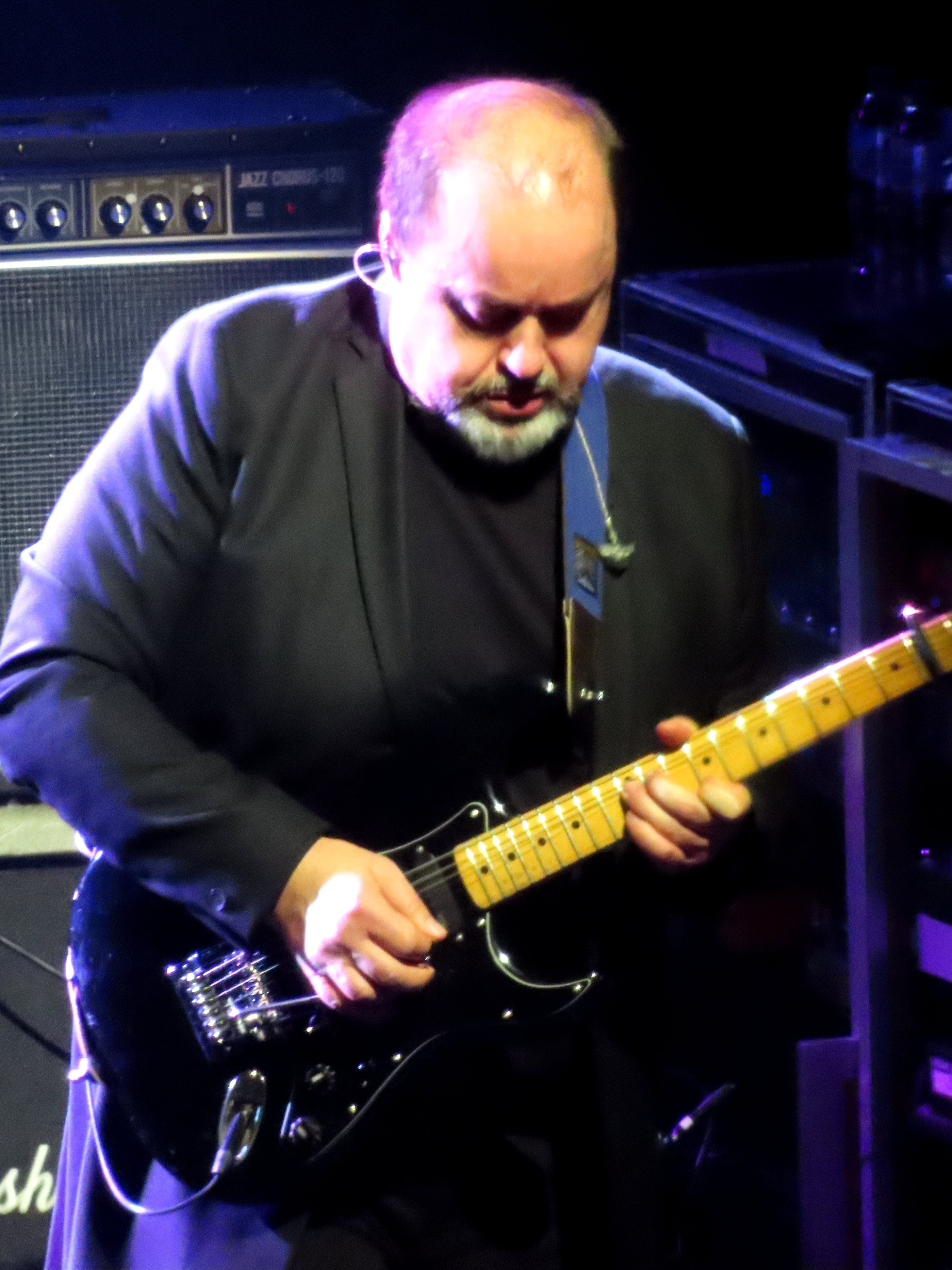 Steve Rothery photo